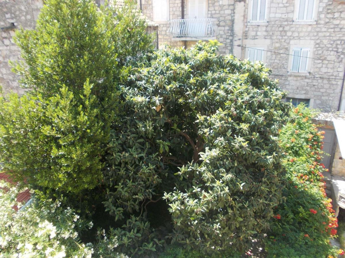 Takoma Hvar Hvar Town Zewnętrze zdjęcie